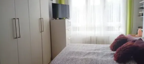 4 bedrooms Apartment in Logrono, Spain No. 172482 14