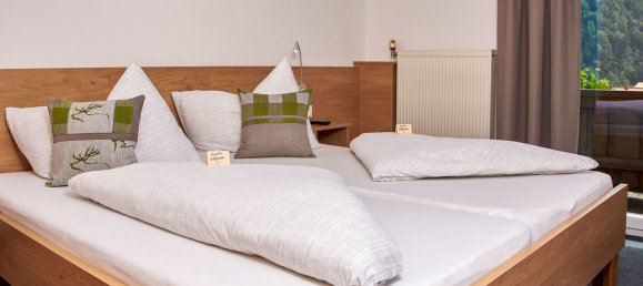 Отель, гостиница с 21 комнатой в Заутенс, Австрия № 119285 5