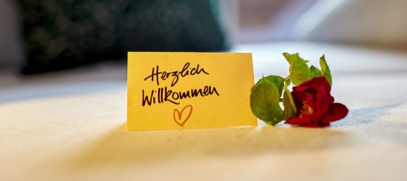 Отель, гостиница с 21 комнатой в Заутенс, Австрия № 119285 2