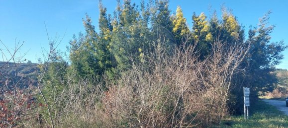 Земельный участок 1050м² в Оливейра ду Ошпитал, Португалия № 87447 6