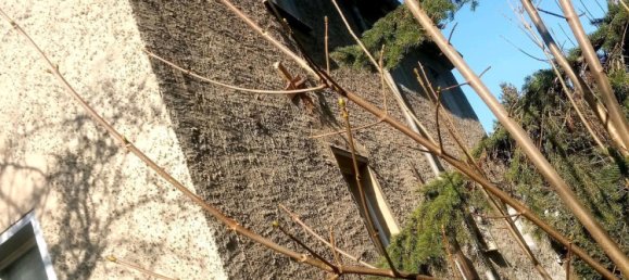 2 Schlafzimmer Haus in Leipzig, Germany, Nr. 217644 5