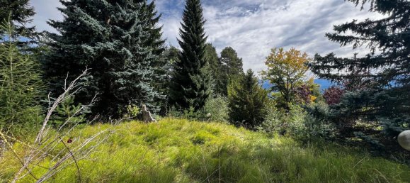 7 chambres Villa à Trentino-Alto Adige, Italy No. 343240 5