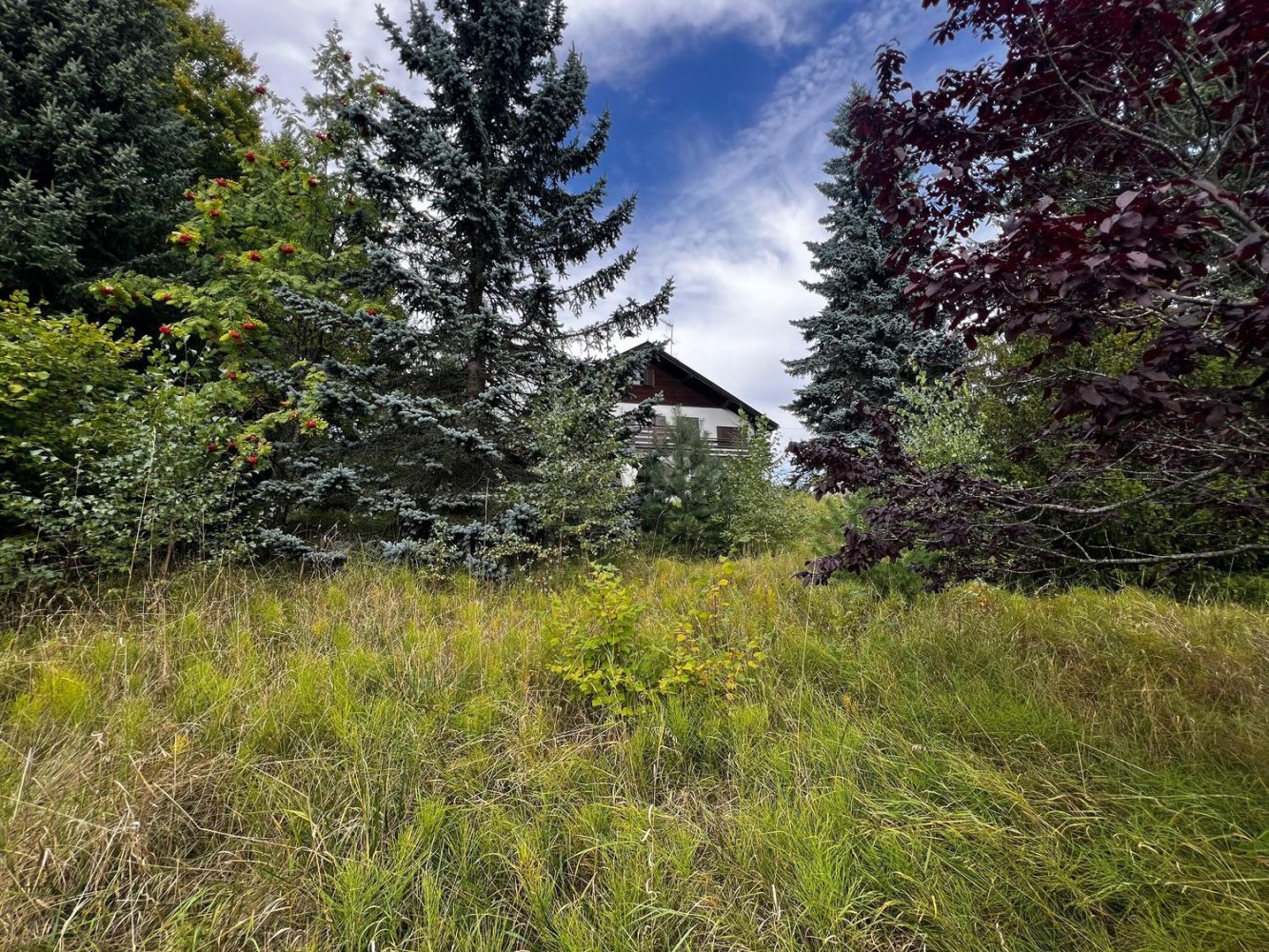 7 chambres Villa à Trentino-Alto Adige, Italy No. 343240