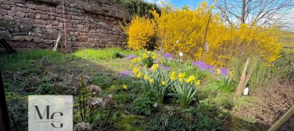 Casa de 3 dormitorios en Marlenheim, France No. 67344 12