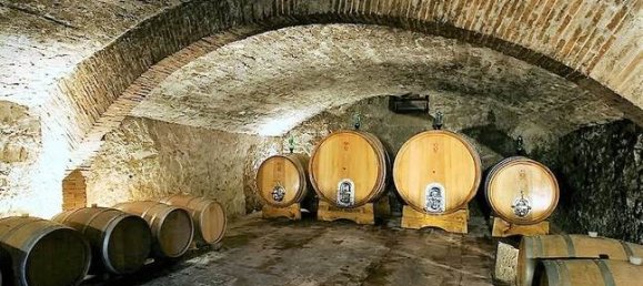 20 chambres Maison à Greve in Chianti, Italy No. 316895 2