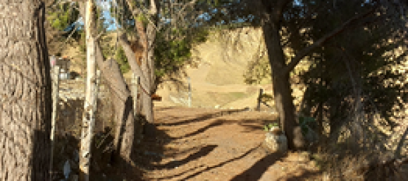 6-Zimmer Villa in Favara, Italy, Nr. 260409 6