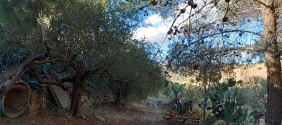 6-Zimmer Villa in Favara, Italy, Nr. 260409 4