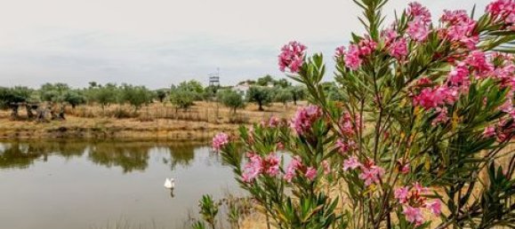 2 bedrooms House in Serpa, Portugal No. 190194 18