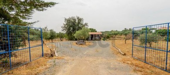 2 bedrooms House in Serpa, Portugal No. 190194 7