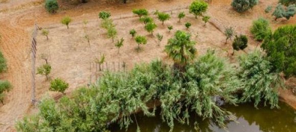 2 bedrooms House in Serpa, Portugal No. 190194 24