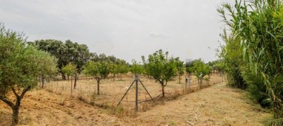 2 bedrooms House in Serpa, Portugal No. 190194 20