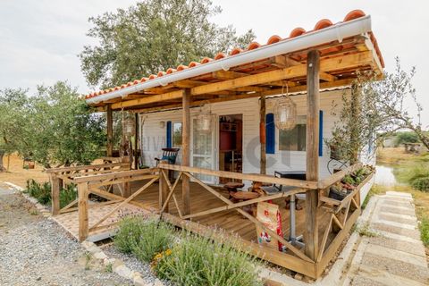 2 bedrooms House in Serpa, Portugal No. 190194