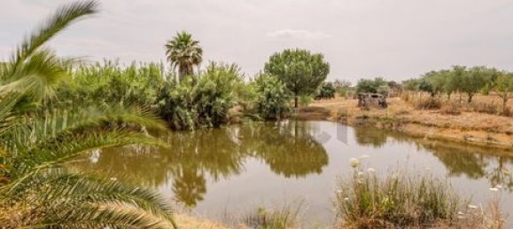 2 bedrooms House in Serpa, Portugal No. 190194 17