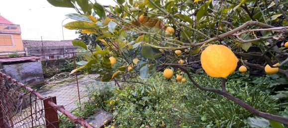 5 Schlafzimmer Haus in Belpasso, Italy, Nr. 115402 22