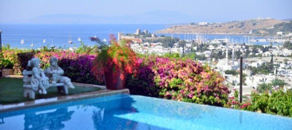 Villa 5+1 in Bodrum, Turkey No. 4758 9