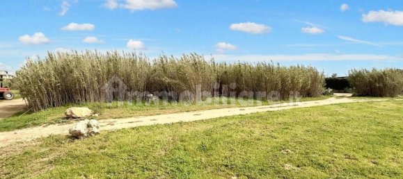 Terreno en Porto Cesareo, Italy 20004 m² No. 322082 6