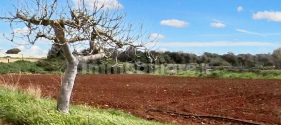 Terreno en Porto Cesareo, Italy 20004 m² No. 322082 14