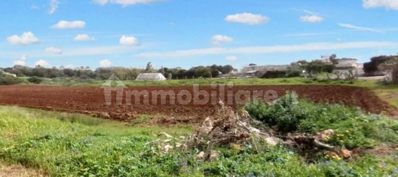 Terreno en Porto Cesareo, Italy 20004 m² No. 322082 13