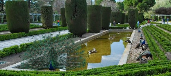 2 Schlafzimmer Wohnung in Madrid, Spain, Nr. 123453 19