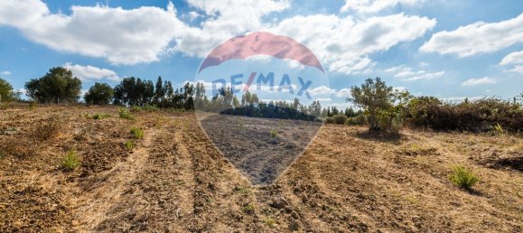 4 غرف نوم منزل في Rio Maior, Portugal رقم 30627 10