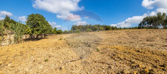 4 غرف نوم منزل في Rio Maior, Portugal رقم 30627 7