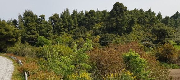 2468m² Hotel in Chalkidiki, Greece No. 4995 4