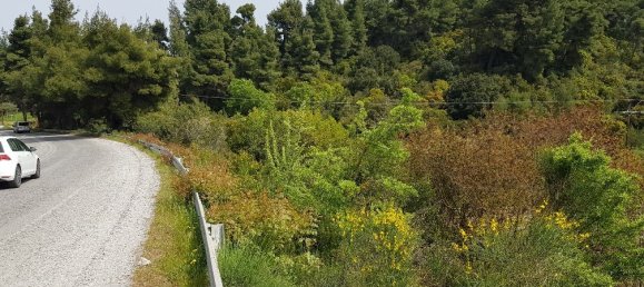 2468m² Hotel in Chalkidiki, Greece No. 4995 2