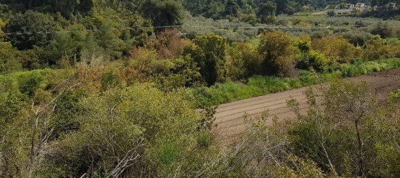 2468m² Hotel in Chalkidiki, Greece No. 4995 3