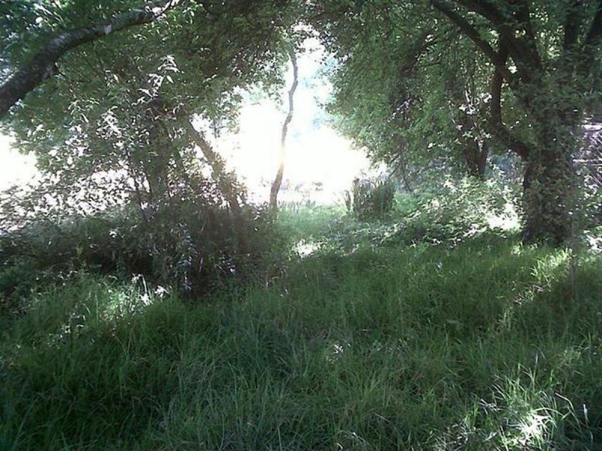 Terreno em Tepotzotlan, Mexico N.º 202568