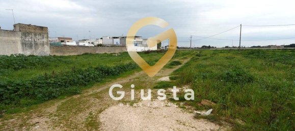  قطعة أرض في Mesagne, Italy 3019متر مربع رقم 34969 6