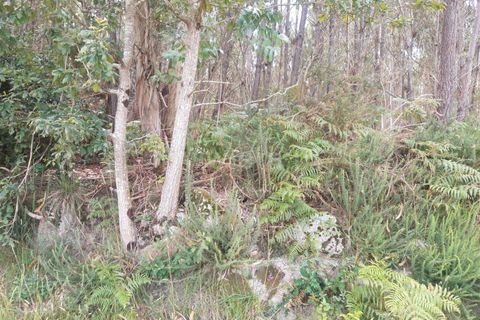 Terrain à Barcelos, Portugal No. 202225