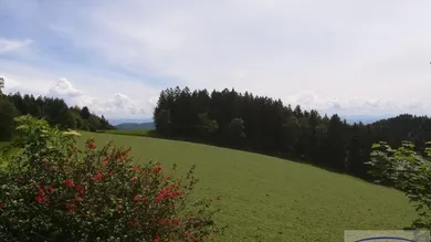 15غرفة مستودع في Dimbach, Austria رقم 128704