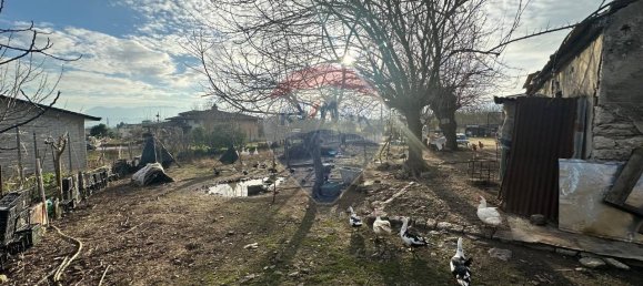 Земельный участок с 1 комнатой в Беневенто, Италия № 143555 18