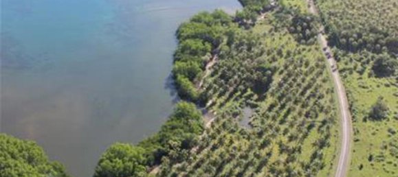 Земельный участок в Порт-Вила, Вануату № 150 5