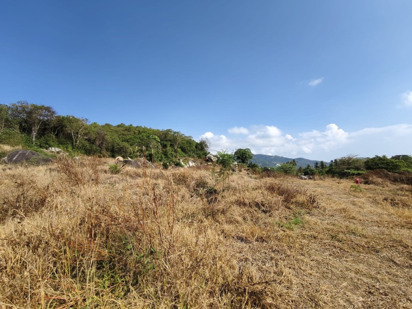  Land in Ko Samui, Thailand No. 32938