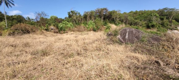  Land in Ko Samui, Thailand No. 32938 4