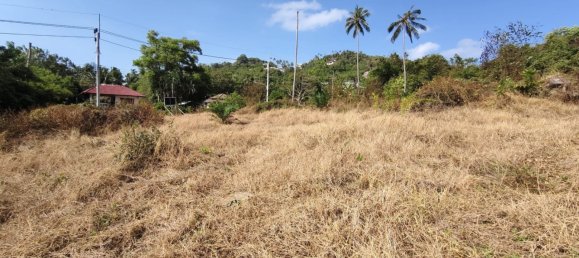  Land in Ko Samui, Thailand No. 32938 3