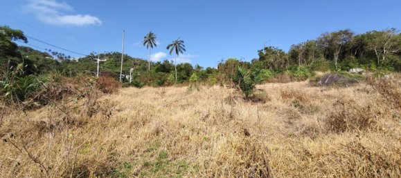  Land in Ko Samui, Thailand No. 32938 2