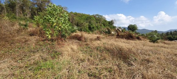  Land in Ko Samui, Thailand No. 32938 8