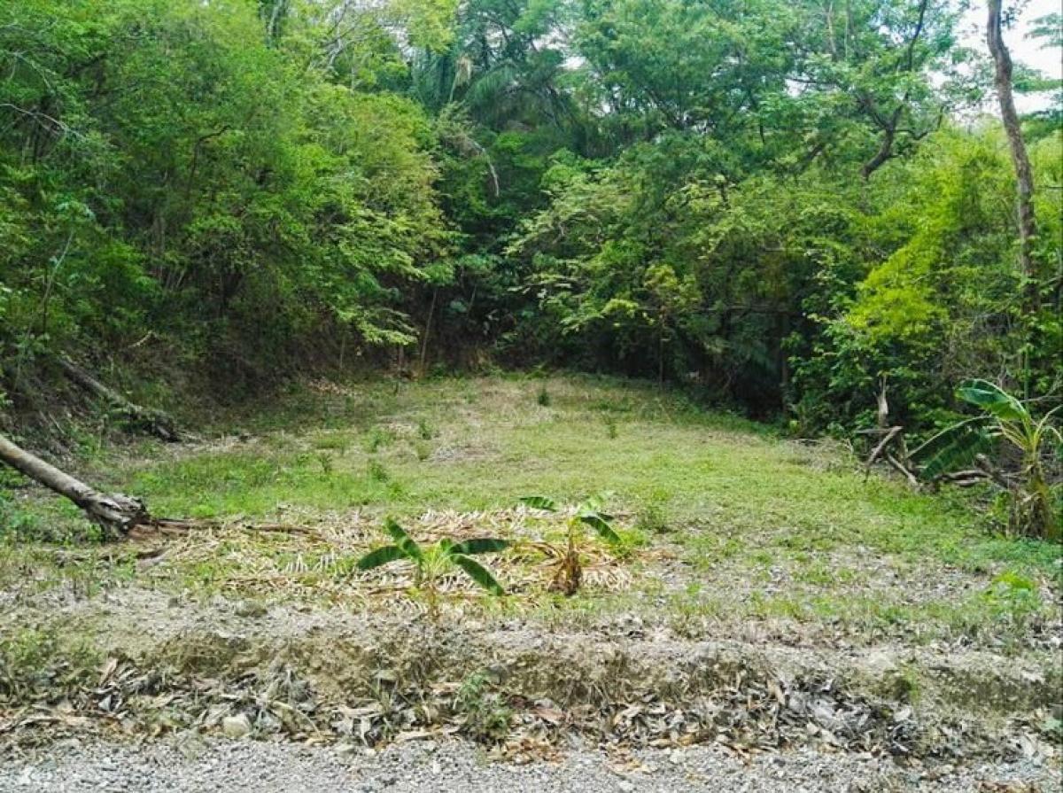  Land in Nicoya, Costa Rica No. 1640