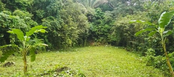  Land in Nicoya, Costa Rica No. 1640 4