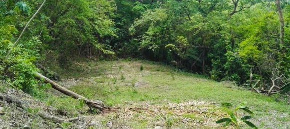  Land in Nicoya, Costa Rica No. 1640 2