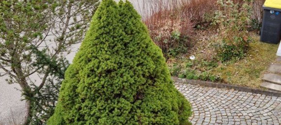 Casa de 3 dormitorios en Tuttlingen, Germany No. 106382 8