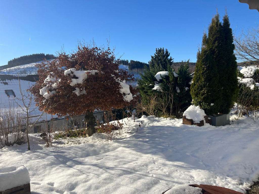 Apartamento de 1 dormitorio en Hochsauerlandkreis, Germany No. 31827