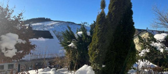 Apartamento de 1 dormitorio en Hochsauerlandkreis, Germany No. 31827 16