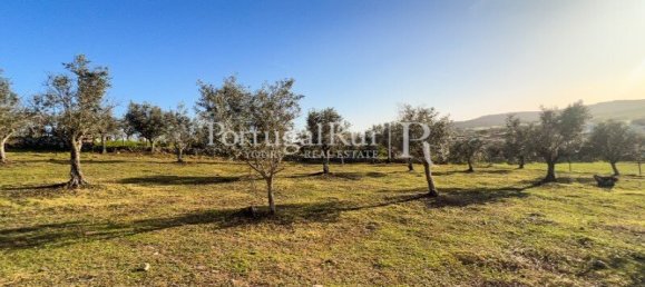 4 bedrooms Land in Portalegre, Portugal No. 146332 21