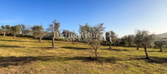 4 bedrooms Land in Portalegre, Portugal No. 146332 24