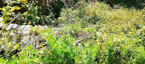 Terreno en Cádiz, Spain No. 140248 4