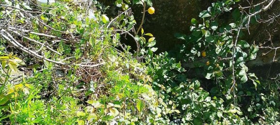 Terreno en Cádiz, Spain No. 140248 19