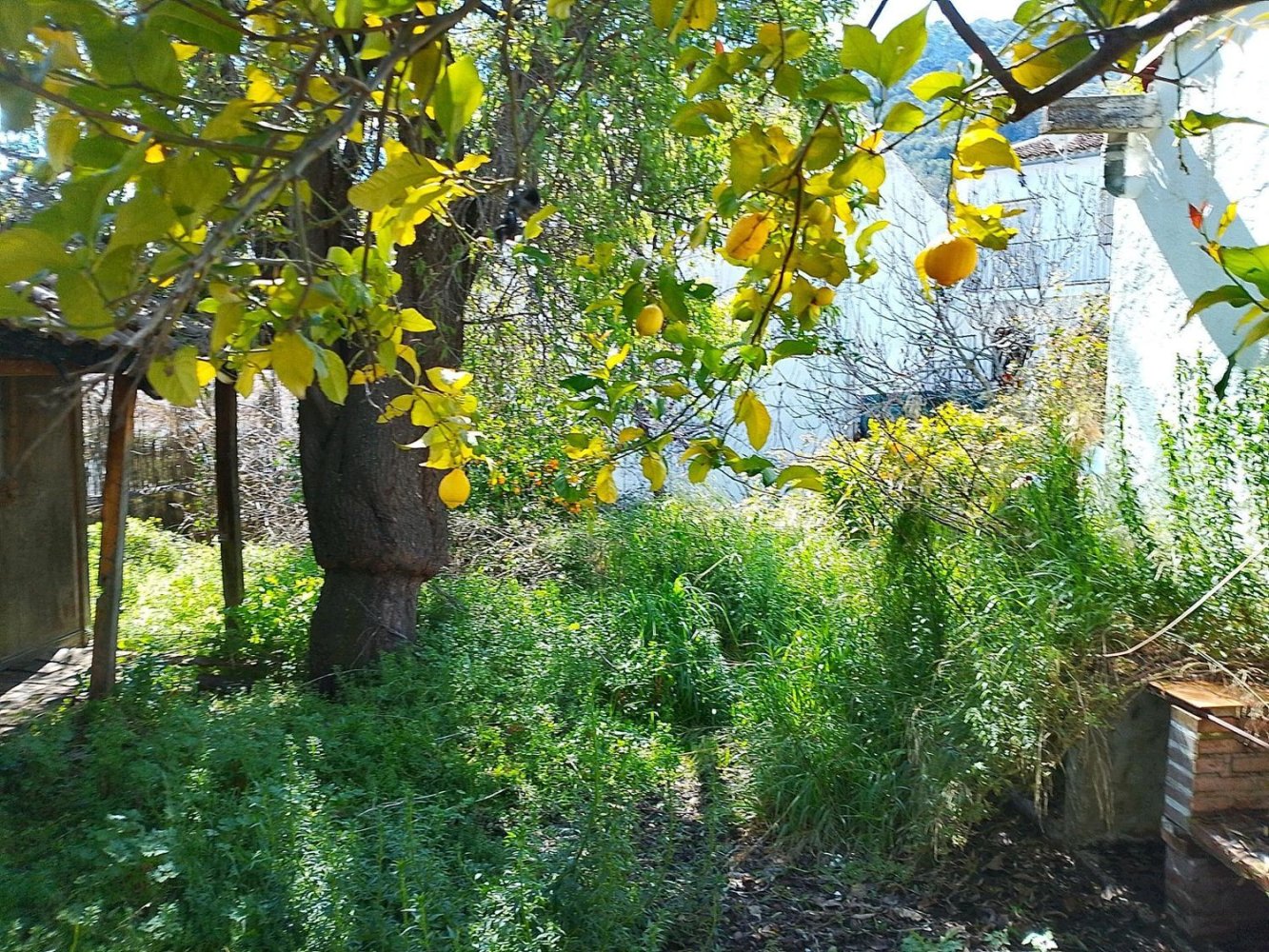 Terreno en Cádiz, Spain No. 140248